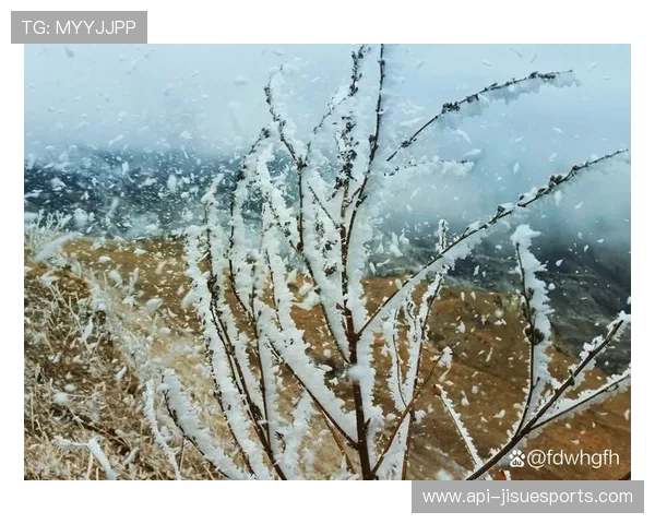 圣诞雪花飘落球场，球员热身适应寒冷天气